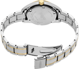 Seiko Essentials SUR636