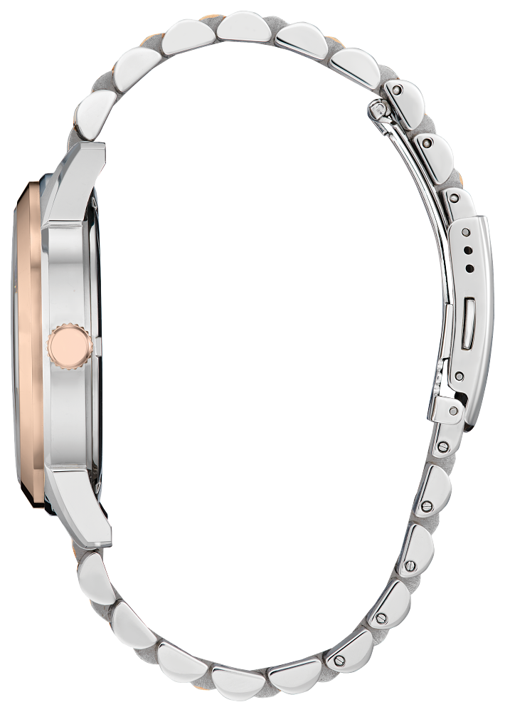 Citizen Rolan AW0156-57X